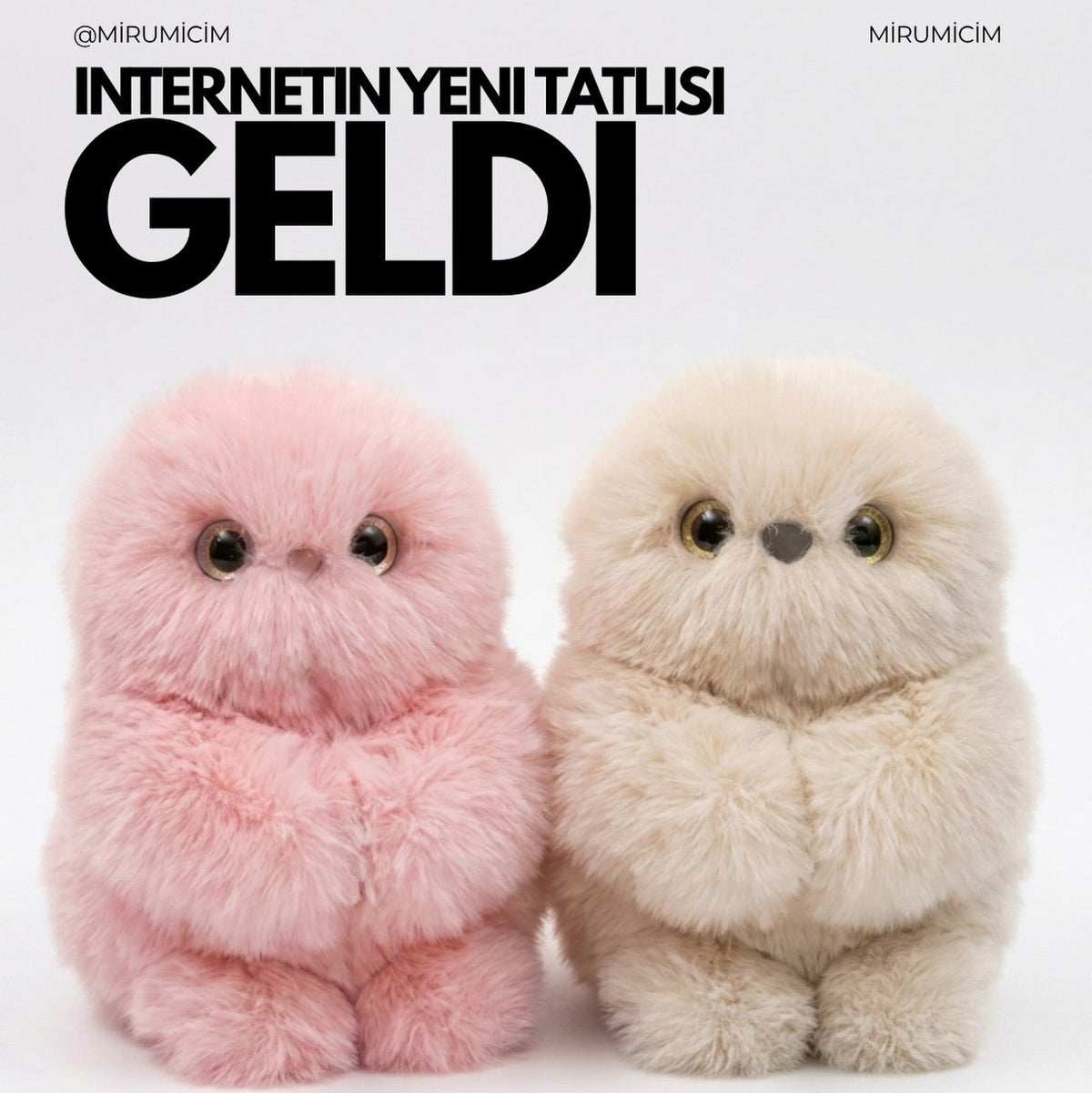MİRUMİ ™ ORIGINAL